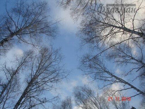 DSC04654_r